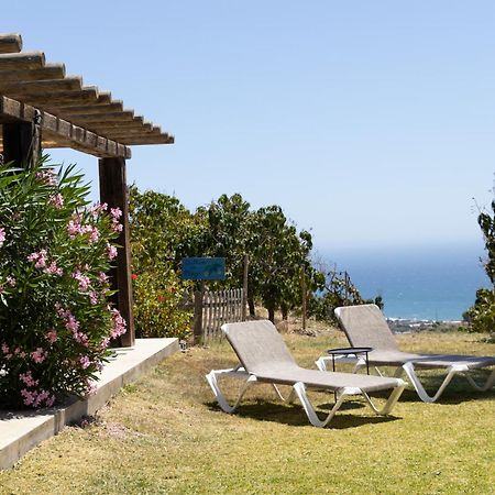 La Casa Del Burro Bed & Breakfast Nerja Eksteriør bilde