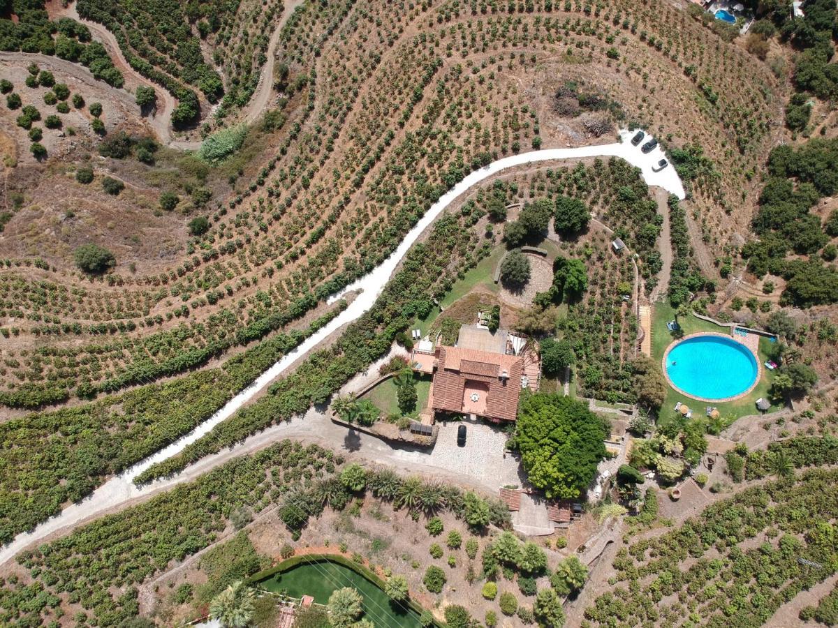 La Casa Del Burro Bed & Breakfast Nerja Eksteriør bilde