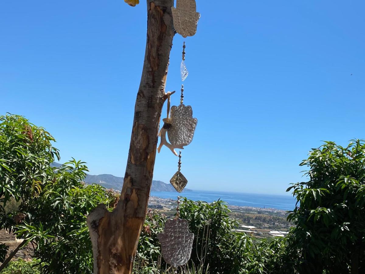 La Casa Del Burro Bed & Breakfast Nerja Eksteriør bilde
