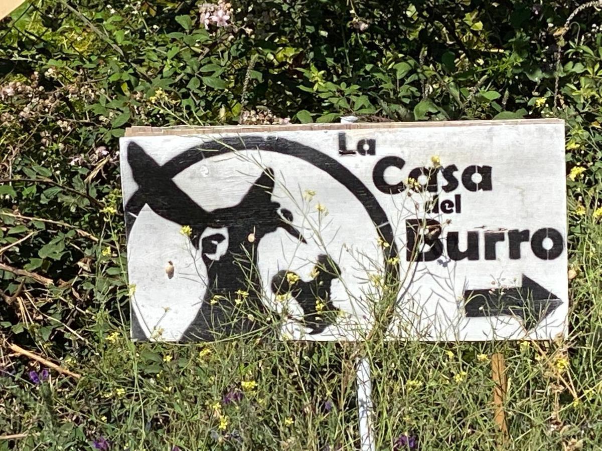 La Casa Del Burro Bed & Breakfast Nerja Eksteriør bilde