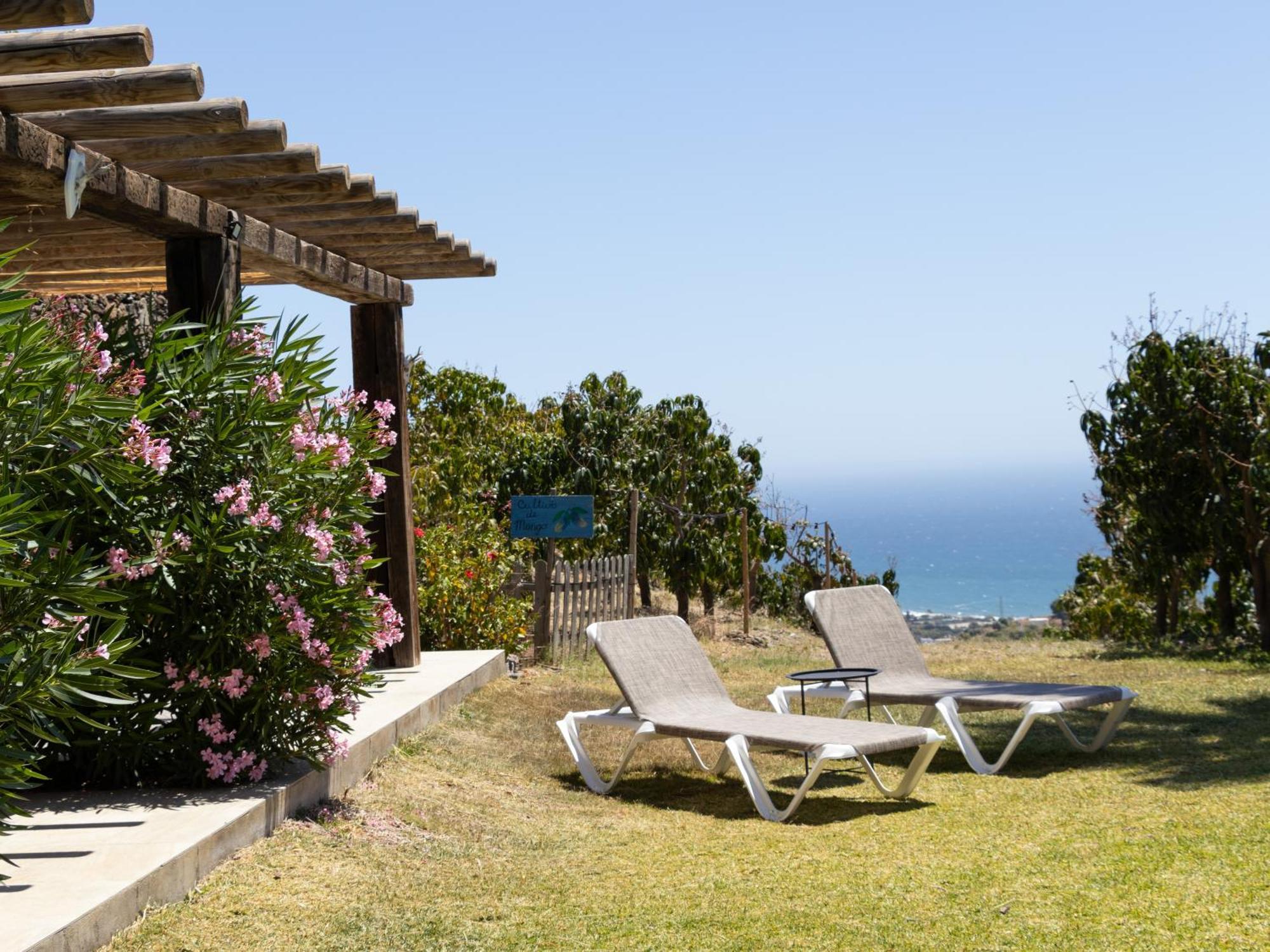 La Casa Del Burro Bed & Breakfast Nerja Eksteriør bilde