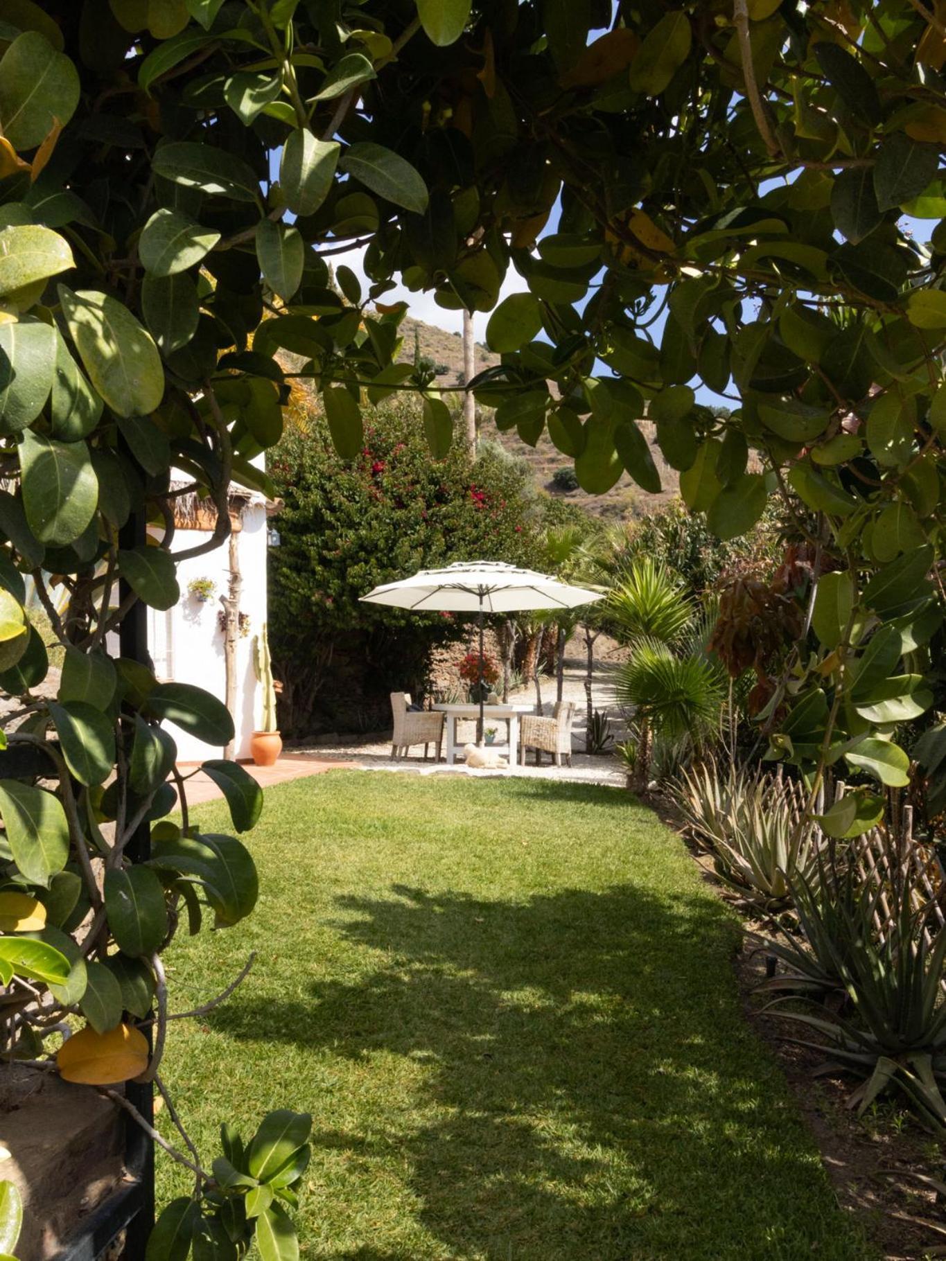 La Casa Del Burro Bed & Breakfast Nerja Eksteriør bilde