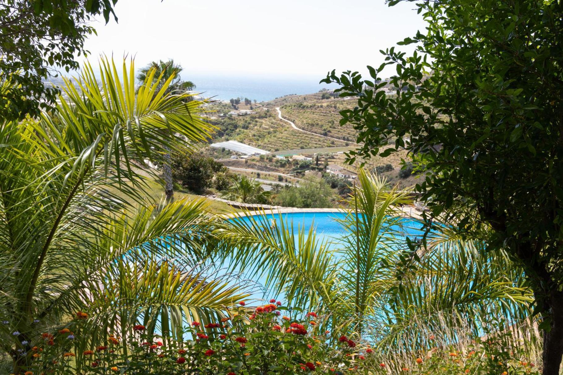 La Casa Del Burro Bed & Breakfast Nerja Eksteriør bilde