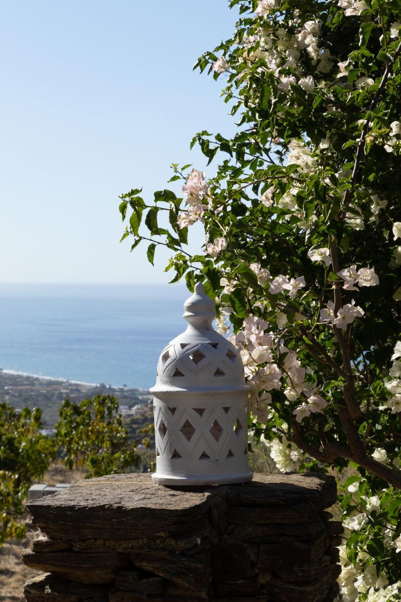 La Casa Del Burro Bed & Breakfast Nerja Eksteriør bilde