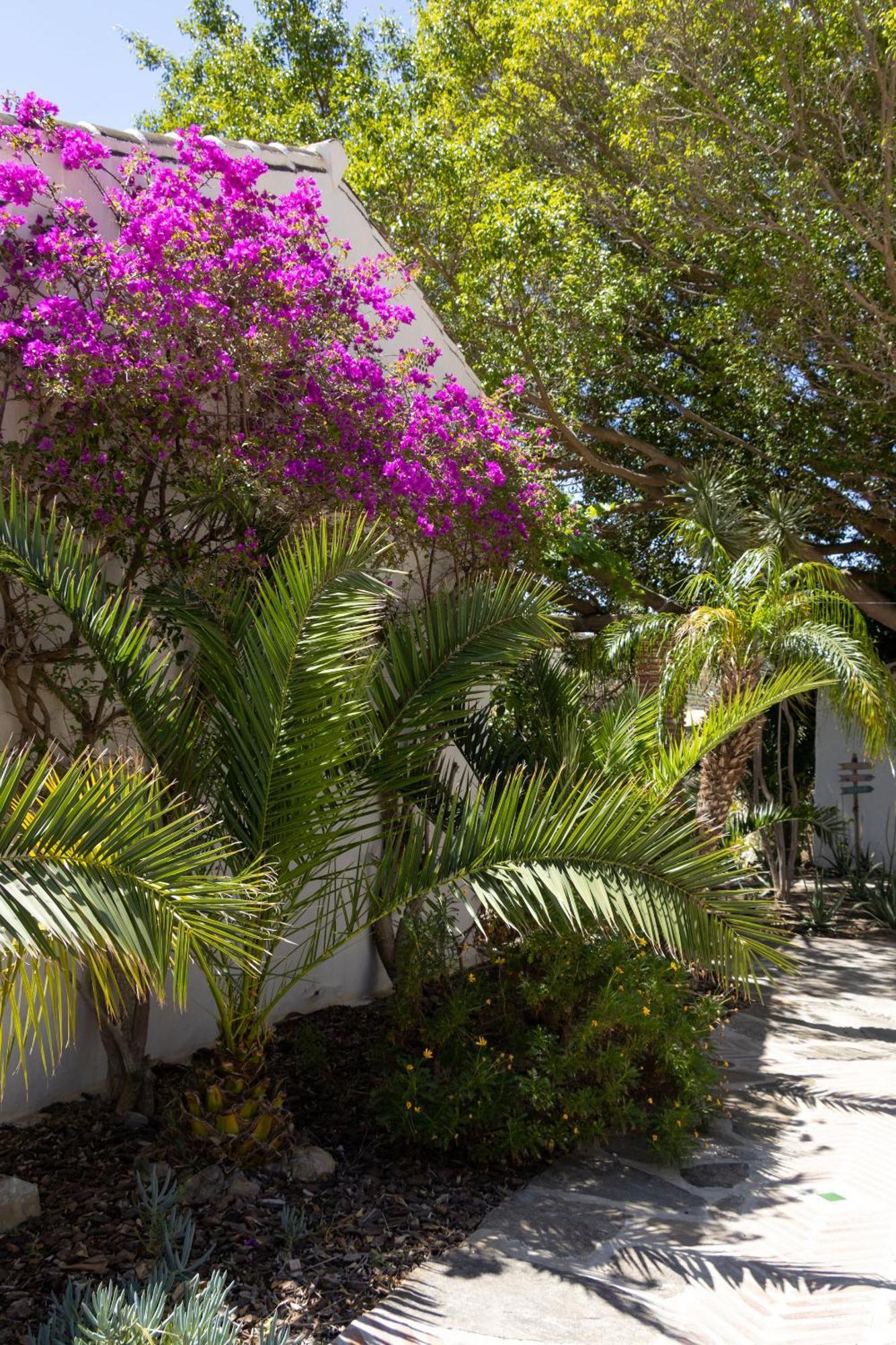 La Casa Del Burro Bed & Breakfast Nerja Eksteriør bilde